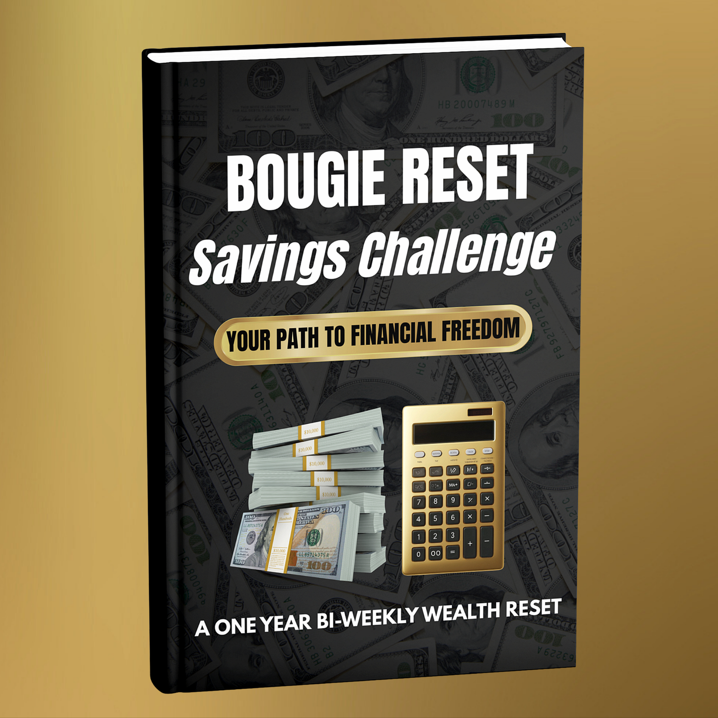 Bi-Weekly Savings Challenges eBook